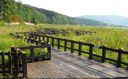 Testimonials Testimonials